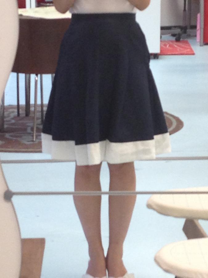 Jennifer, Navy and White Pleated Skirt in Linen