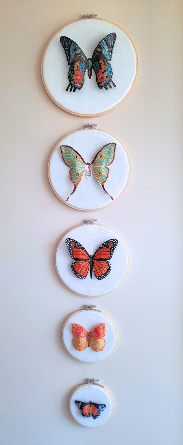 Linda, Butterflies and Moths are so beautiful yet so elusive.  Their striking colors and patterns only last...