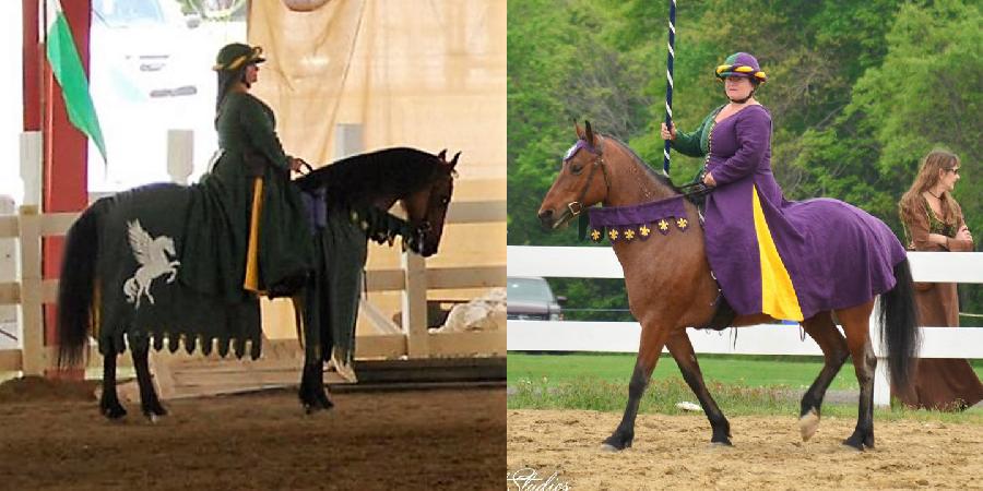 Lorraine, My wild mustang at the Society for Creative Anachronism 50 year celebration in June this year. Thi...