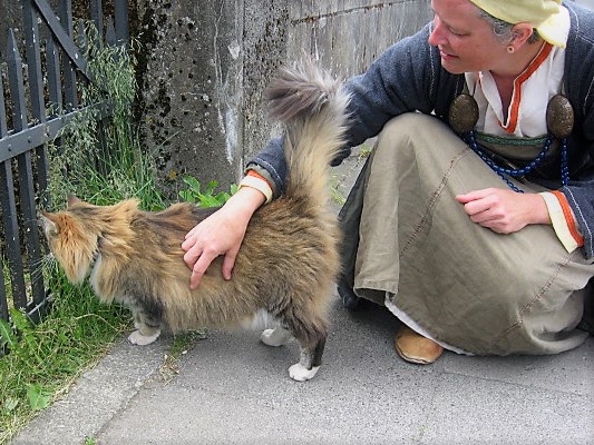 Wendy, Petting Norwegian forest cat in Reykjavik. Wearing a linen serk and smokker -with linen trim.