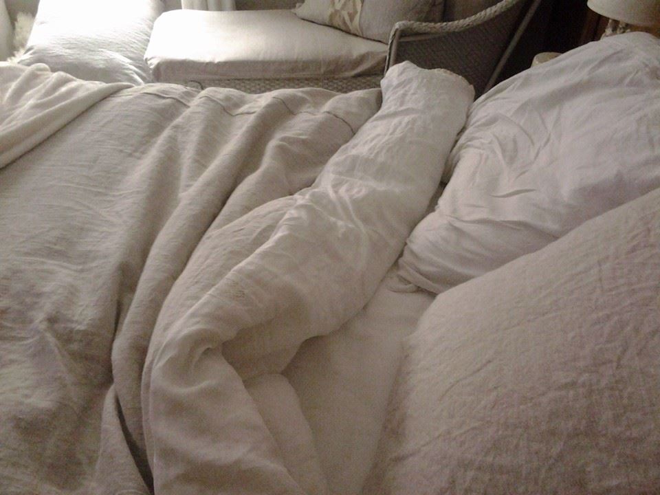 Debbie, 
DEBBIE
 Using 9 yards of 4C22 fabric in mix natural, I made a queen size duvet cover& matching eu...