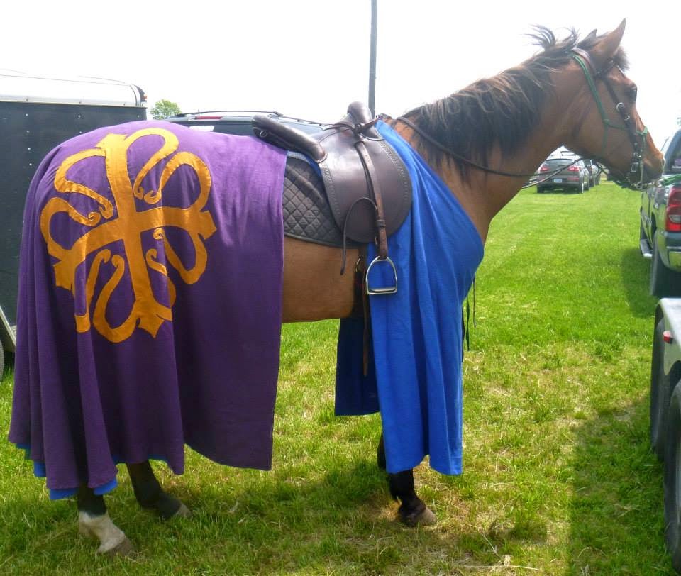 Tiffany, ~14th Century Caparison recreated for equestrian activities in the Society for Creative Anachronism....