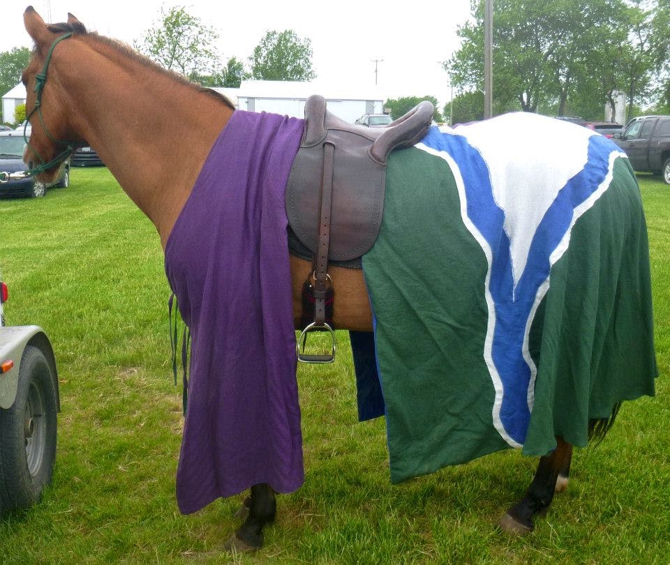 Tiffany, ~14th Century Caparison recreation for equestrian activities in the Society for Creative Anachronism...