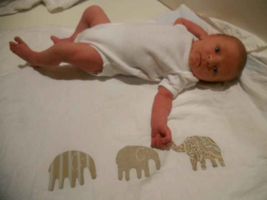 Kellie, A white linen baby wrap, with appliqued elephants and a blanket stitch edge, and a brand new grandso...