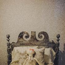 Aaron, BEDDING FOR A PRINCESS
Showcasing a var...