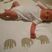 A white linen baby wrap, with appliqued elephants and a blanket stitch edge, and a brand new gra...